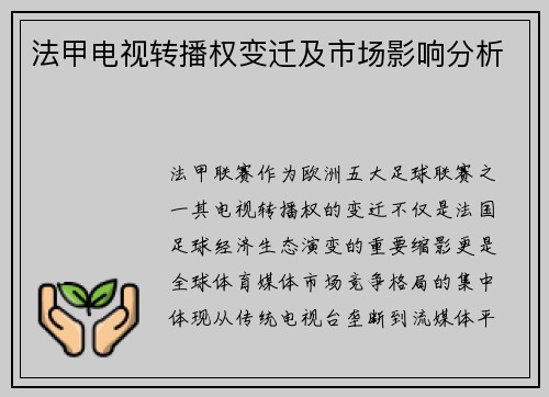 法甲电视转播权变迁及市场影响分析